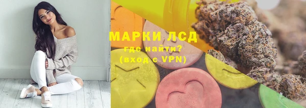 стаф Нефтегорск
