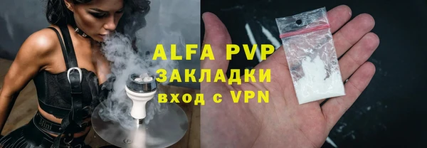 стаф Нефтегорск