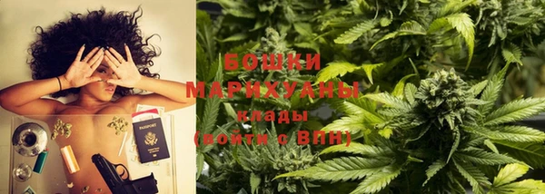 стаф Нефтегорск