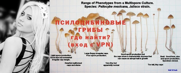 не бодяженный Нея
